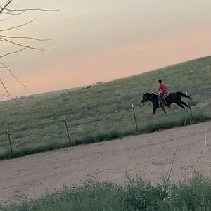 Meet your Posher, Jonathan